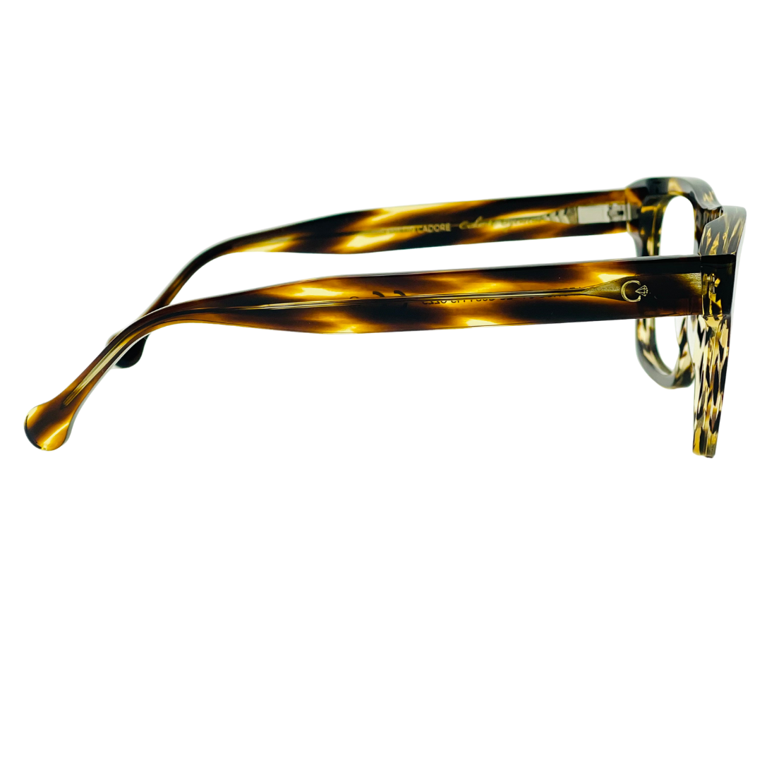 CELESTE EYEWEAR -ALFONSO (684-HAVANA STRIATO)