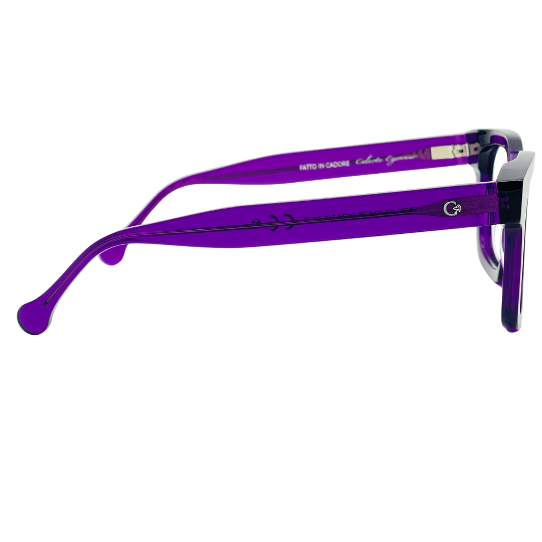 CELESTE EYEWEAR -FREDDY (034-VIOLA)