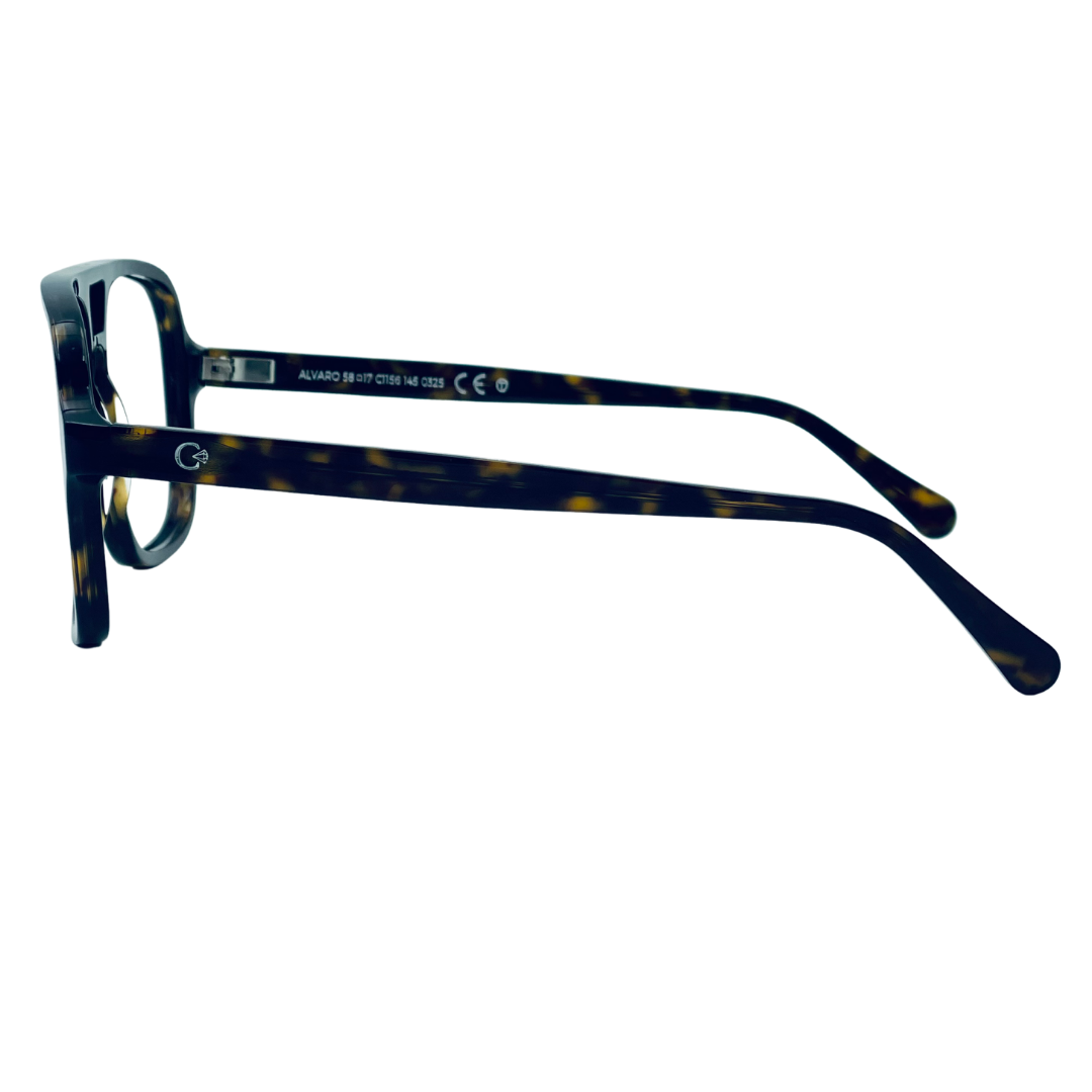 CELESTE EYEWEAR -ALVARO (1156-HAVANA)