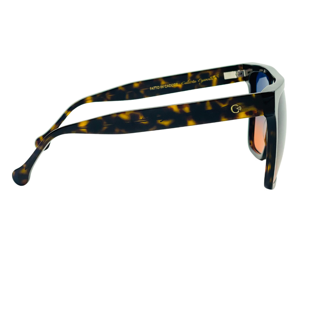 CELESTE EYEWEAR -ELTON (1156-HAVANA)