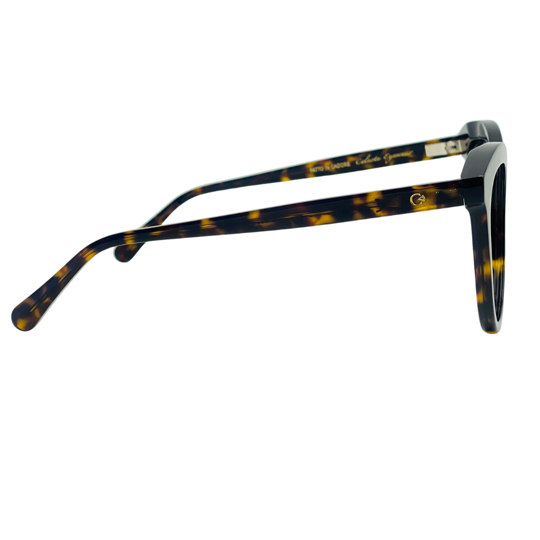 CELESTE EYEWEAR - SUSY (1156-HAVANA)