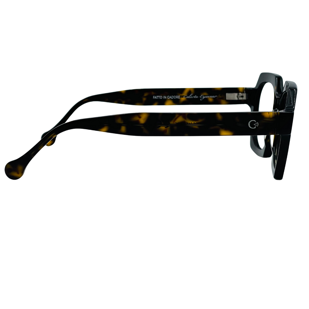 CELESTE EYEWEAR - TOMMASO (1156-HAVANA)