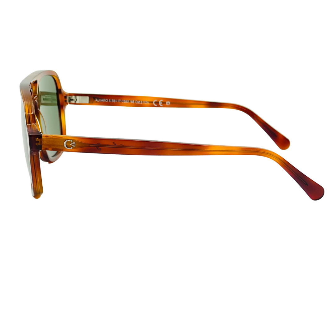 CELESTE EYEWEAR -ALVARO (683-DARK HONEY)