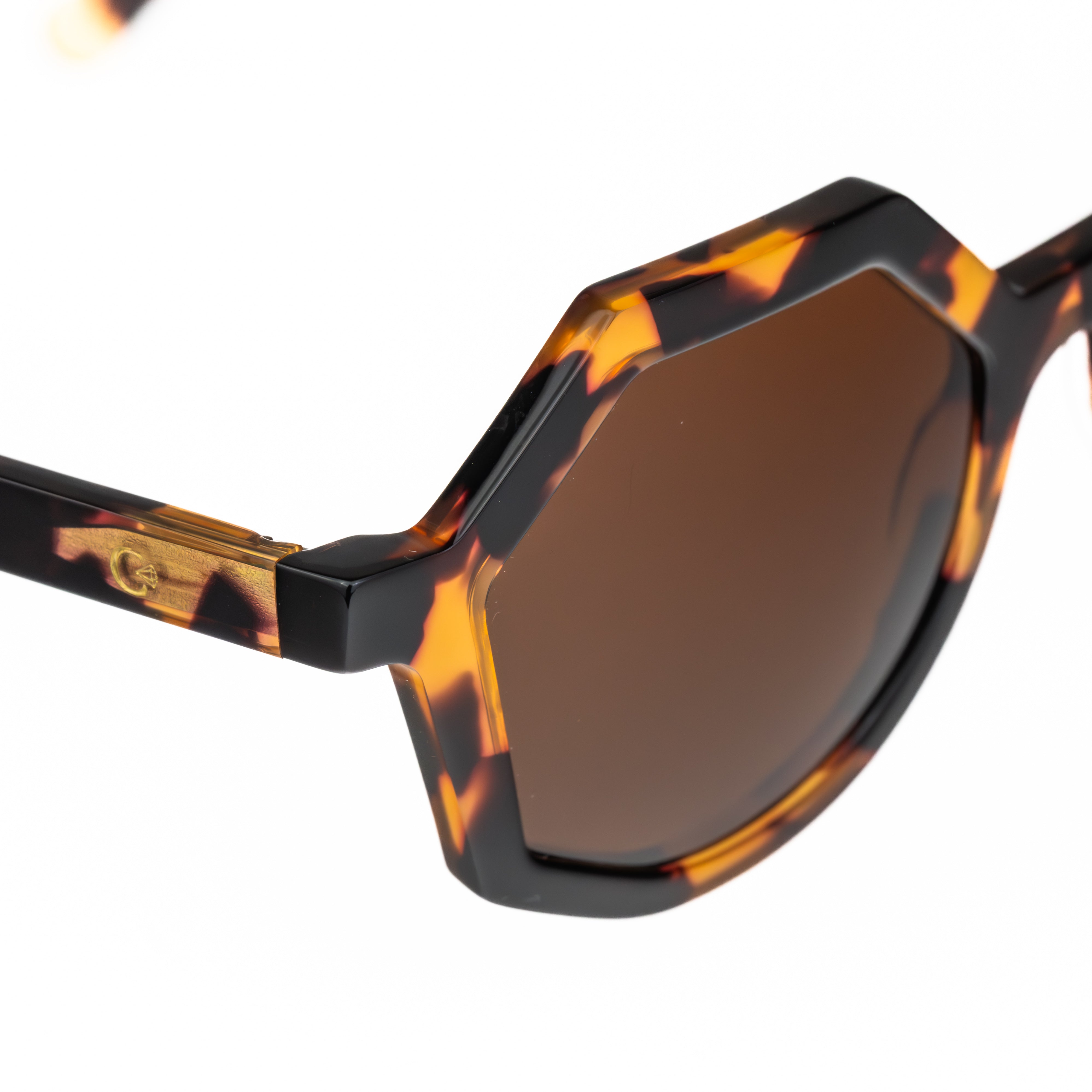 CELESTE EYEWEAR -ANTO (698-HAVANA/YELLOW)