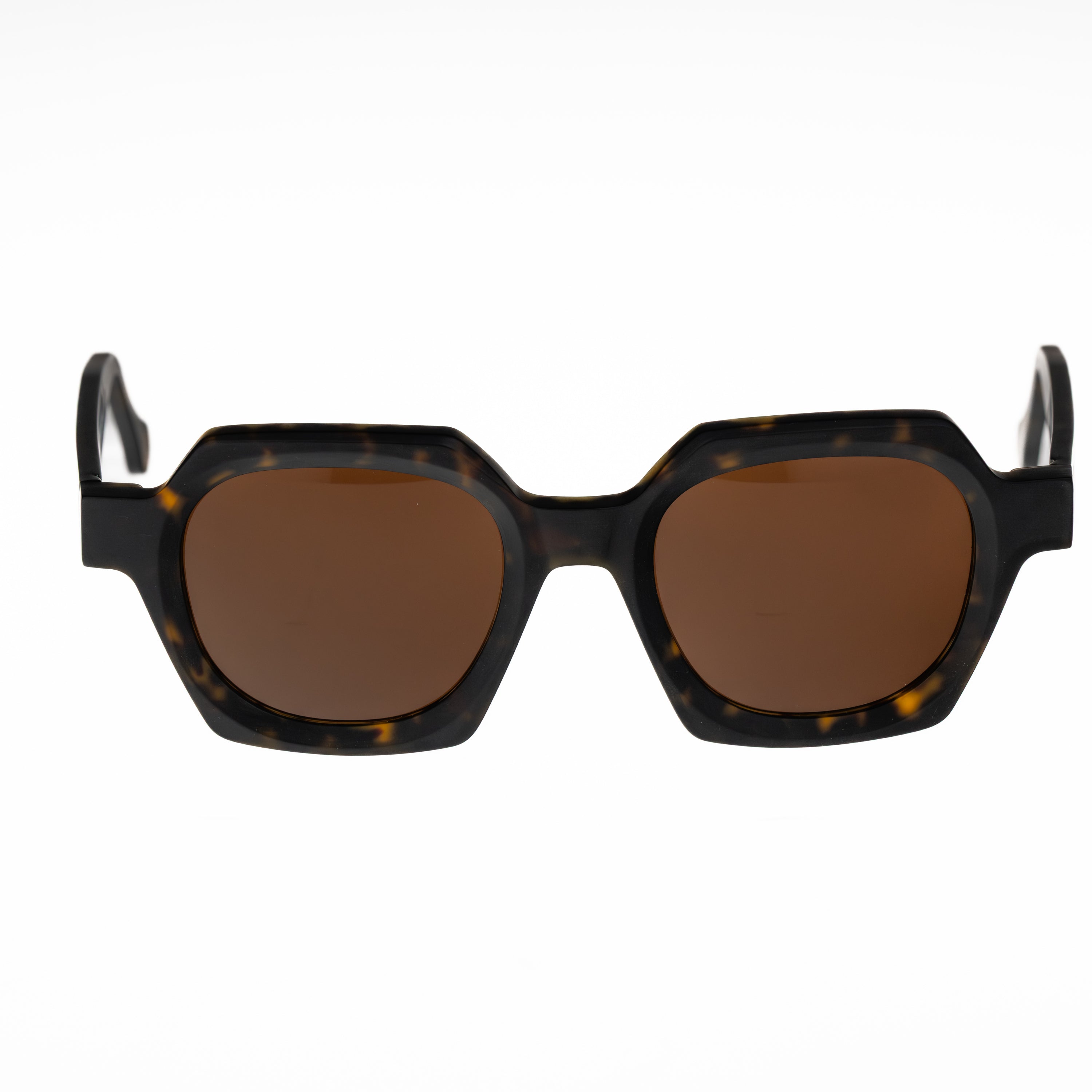 CELESTE EYEWEAR - TOMMASO (1156M-HAVANA)