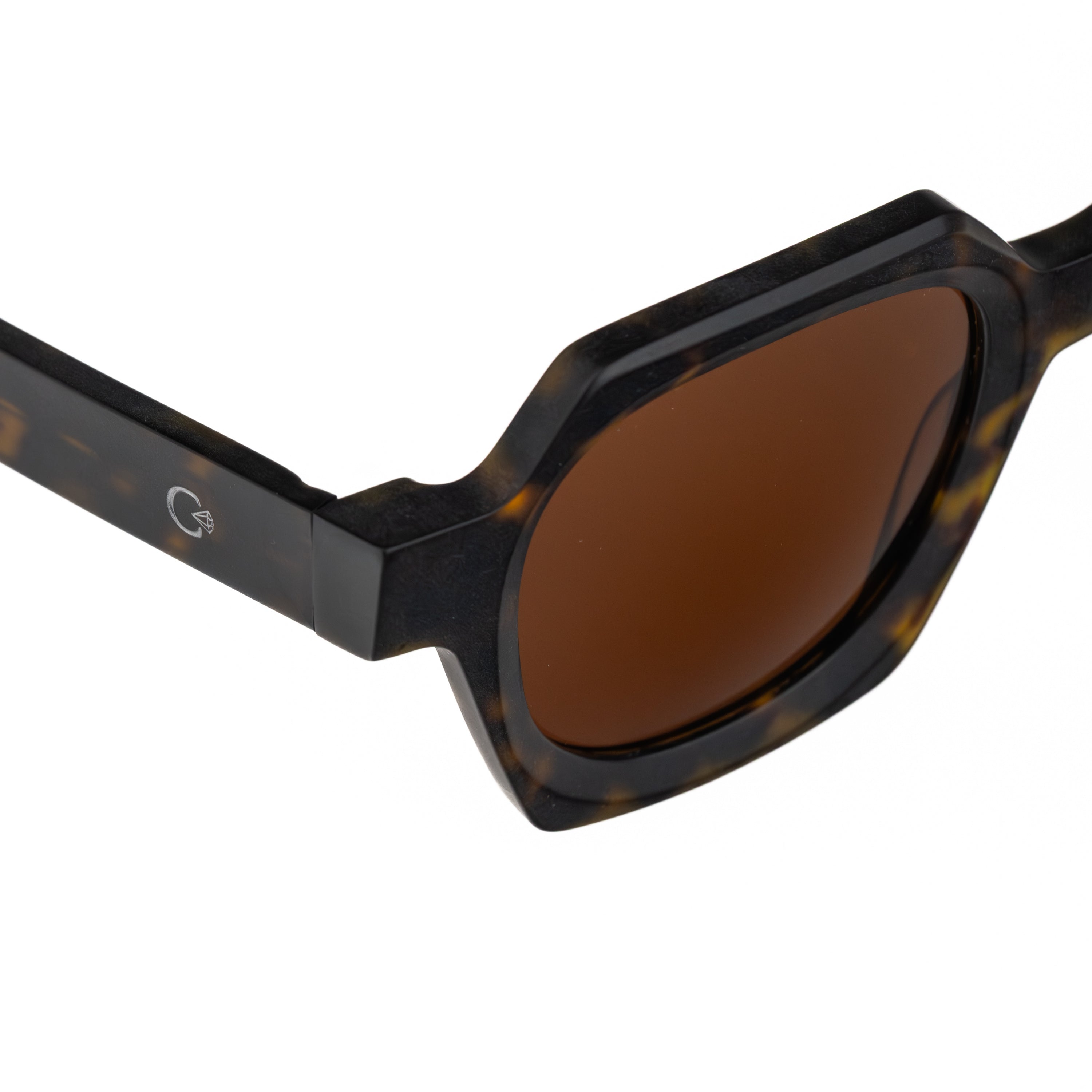 CELESTE EYEWEAR - TOMMASO (1156M-HAVANA)