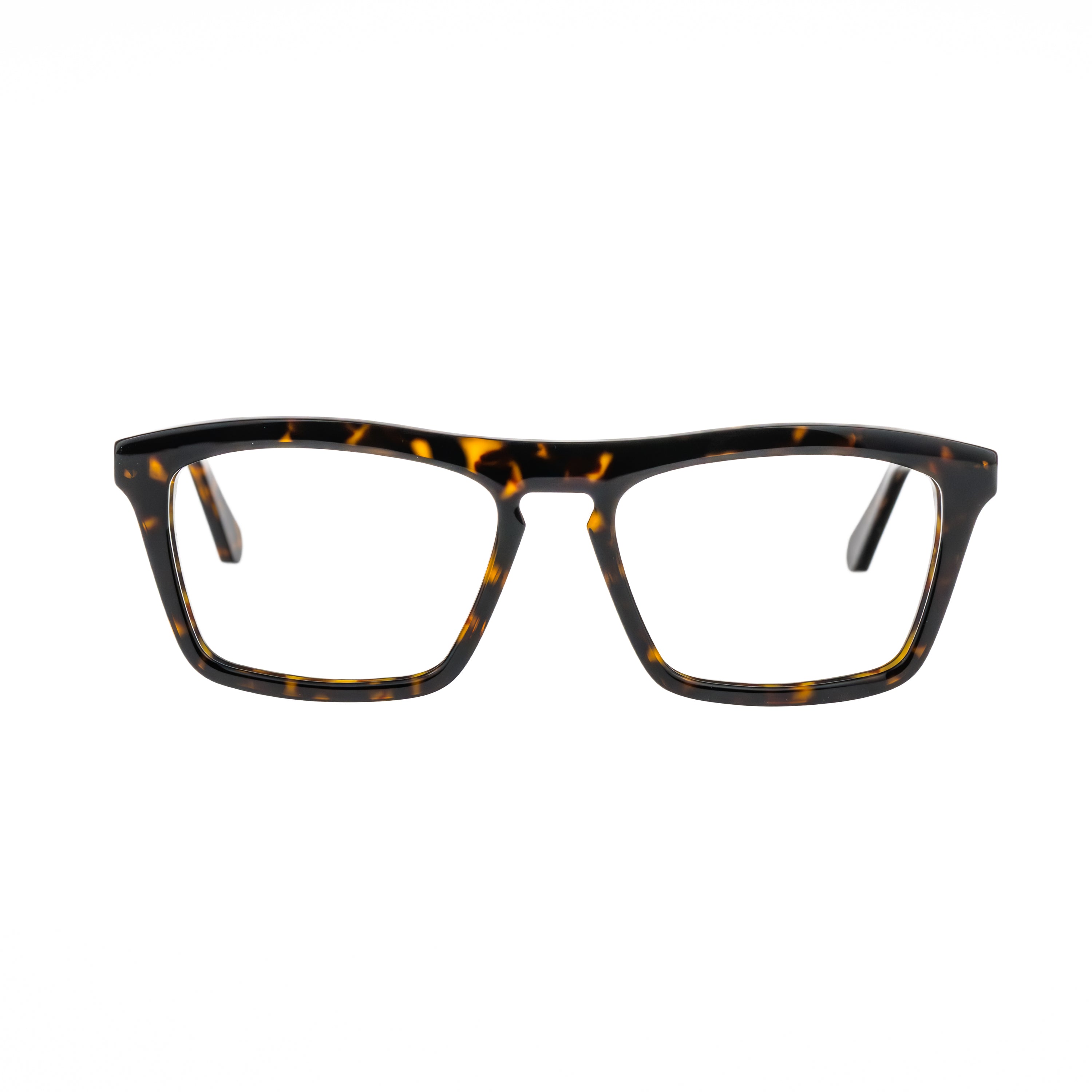 CELESTE EYEWEAR -FERNANDO (1156-HAVANA)