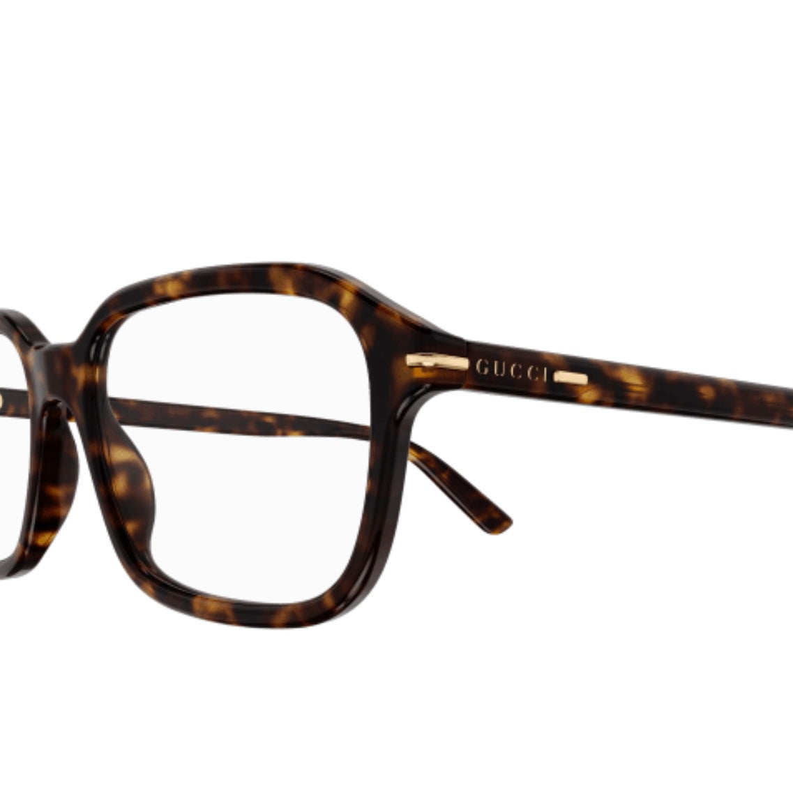 GUCCI GG1446O (002-HAVANA)