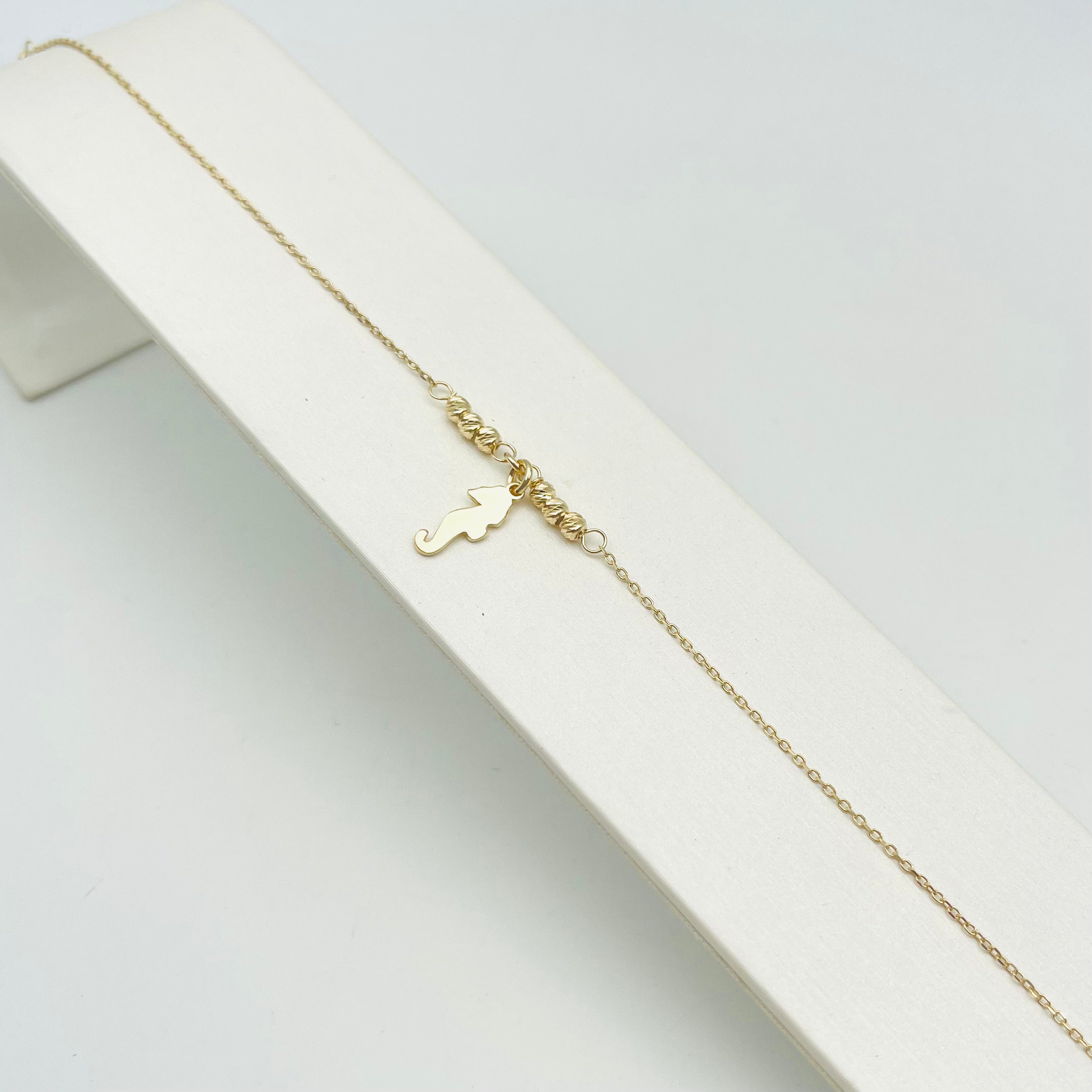 CAVIGLIERA CAVALLUCCIO G