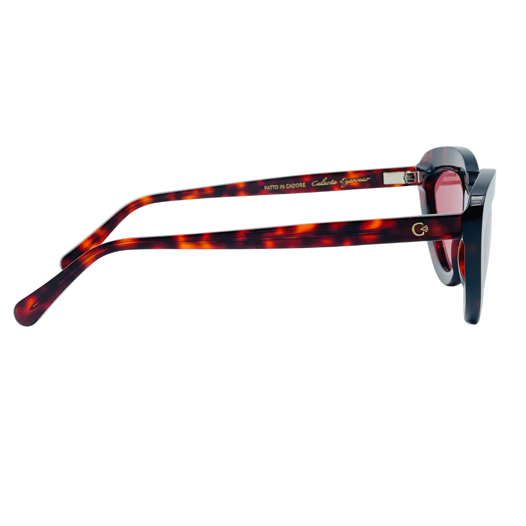 CELESTE EYEWEAR - CECILIA (451-HAVANA RED)