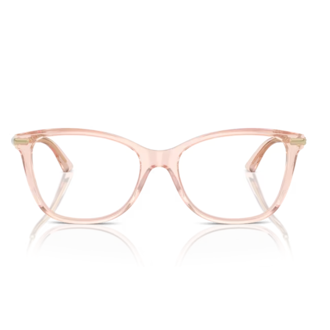 JIMMY CHOO JC3007HB (5034-ROSA TRASPARENTE)