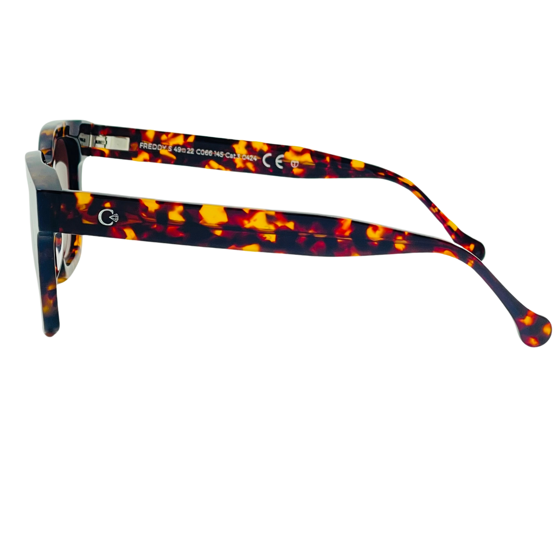 CELESTE EYEWEAR -FREDDY (066-HAVANA)