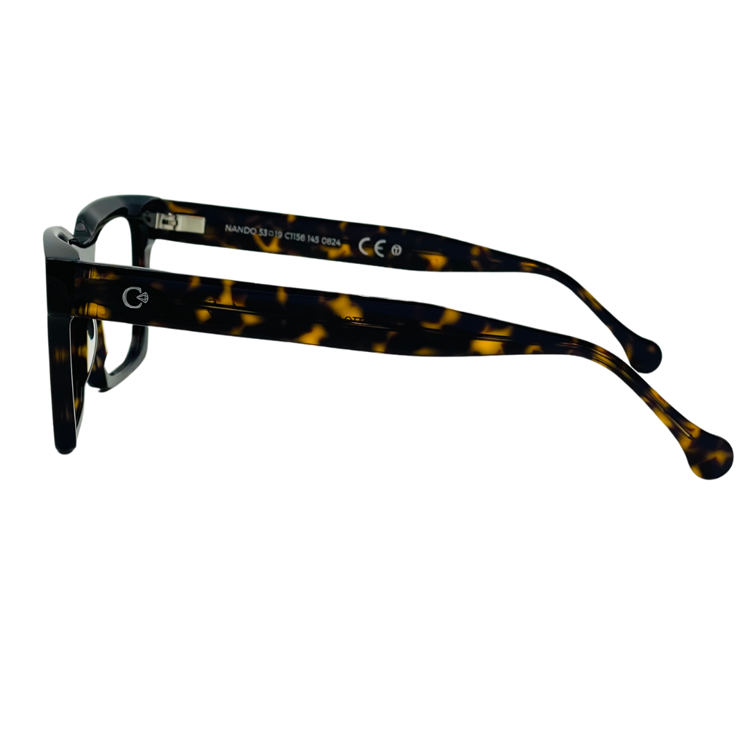 CELESTE EYEWEAR -NANDO (1156-HAVANA)