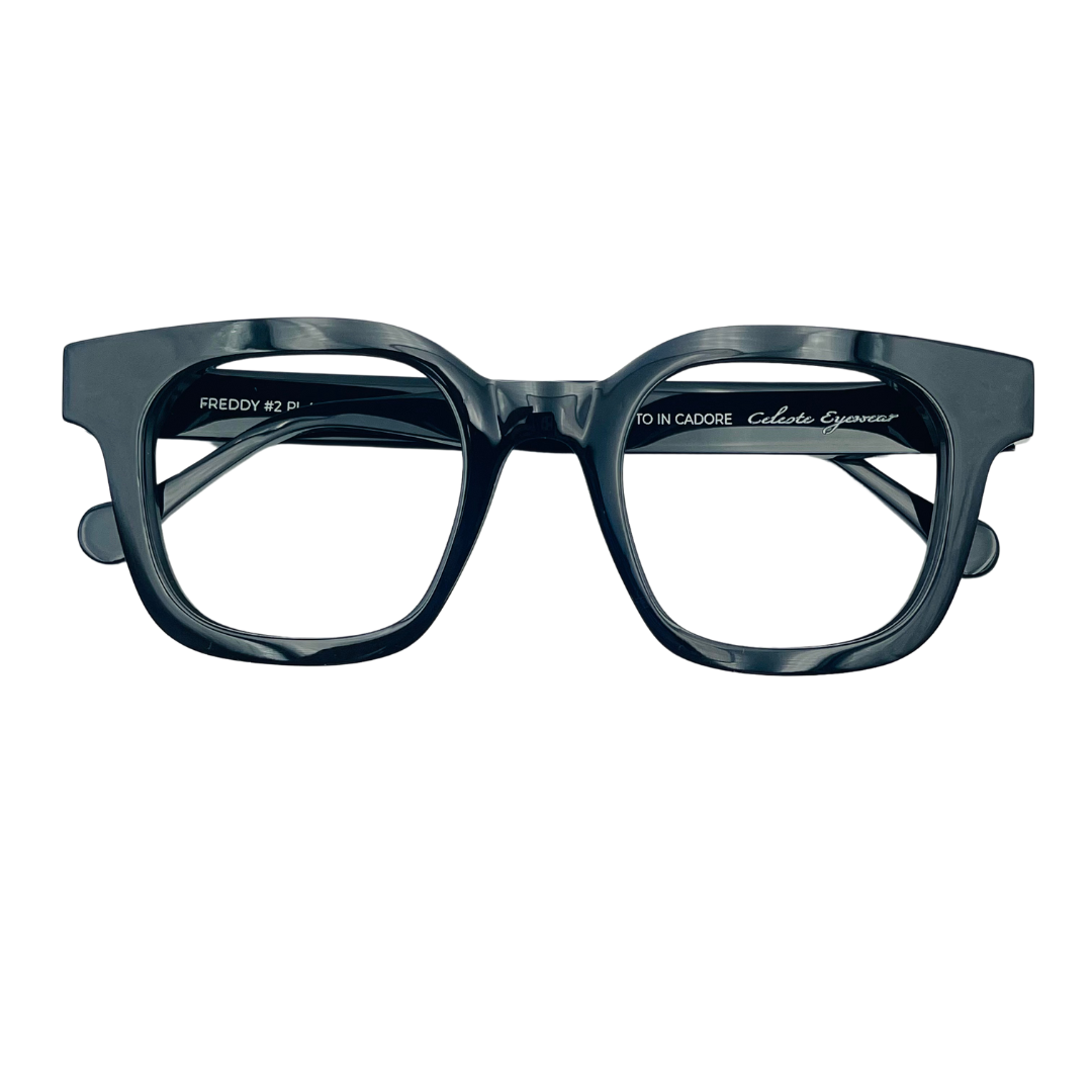 CELESTE EYEWEAR -FREDDY CLIP(001E-BLACK)