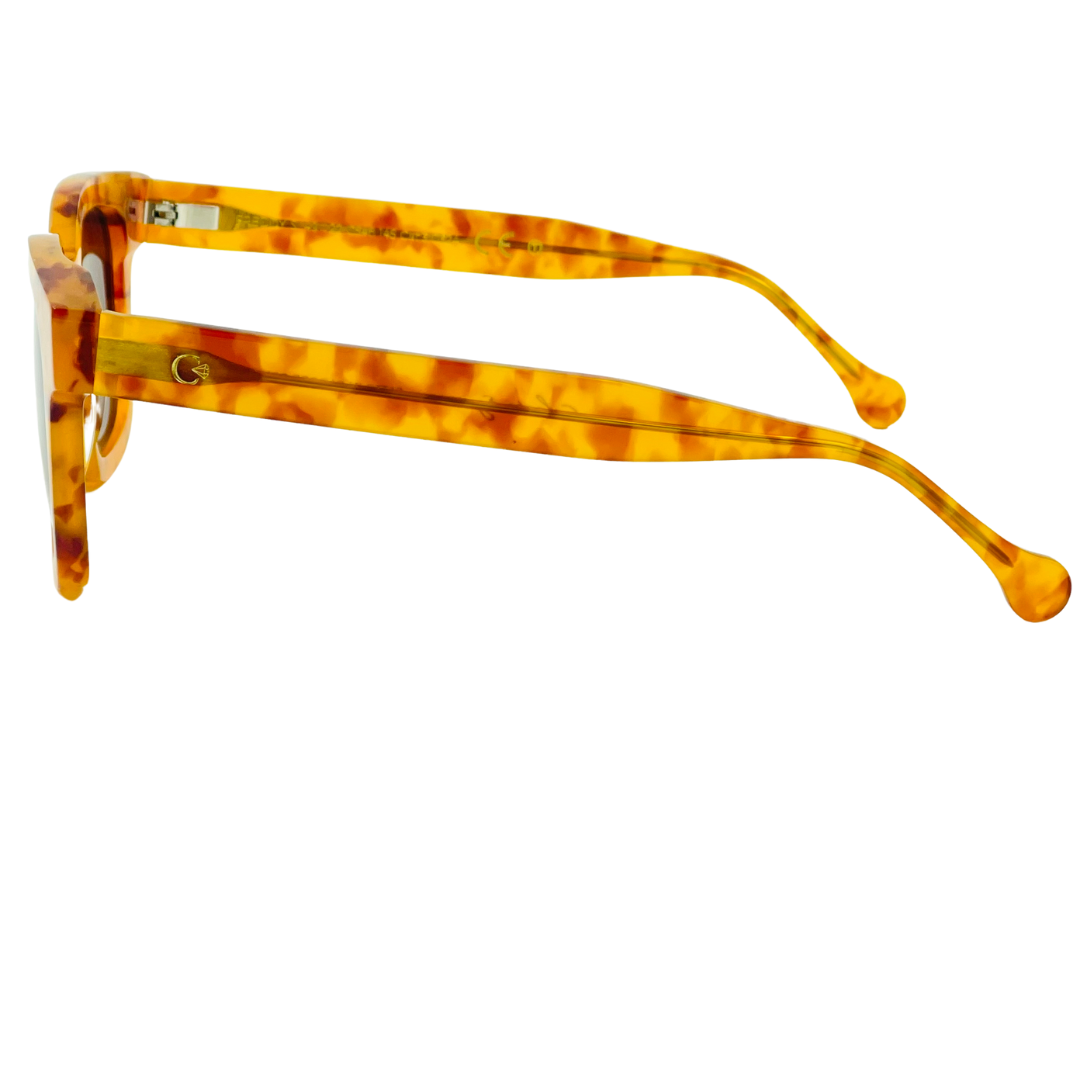 CELESTE EYEWEAR -FREDDY (546-MIELE)