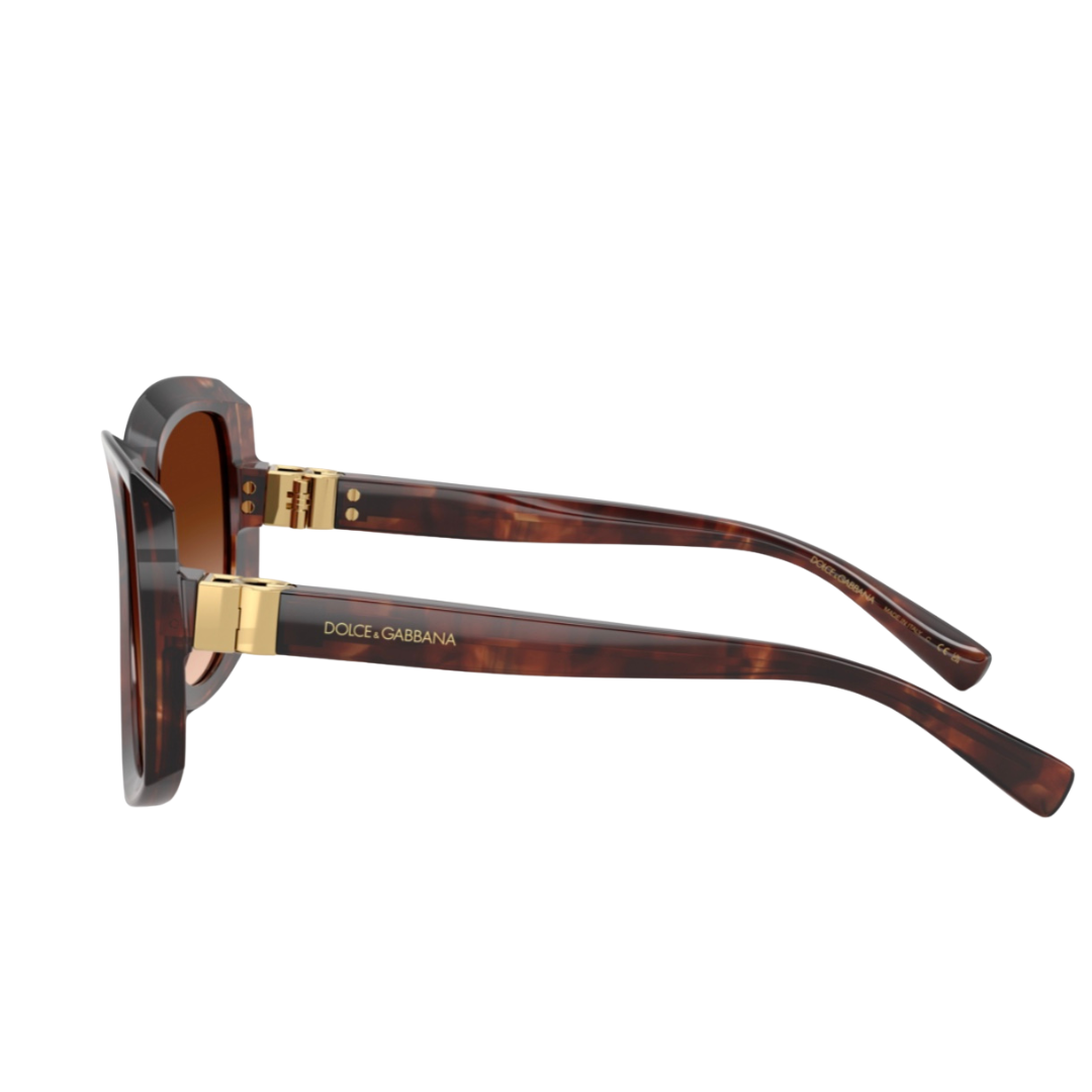 DOLCE & GABBANA DG4495 EVERYDAY (3222/74-HAVANA)