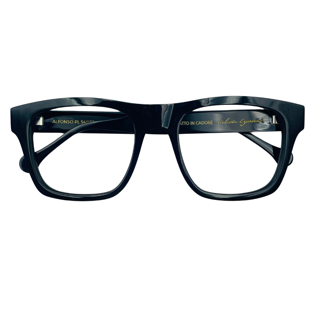 CELESTE EYEWEAR -ALFONSO CLIP(001E-BLACK)