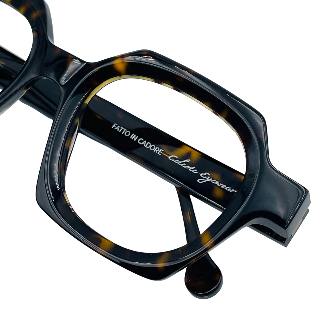 CELESTE EYEWEAR - TOMMASO (1156-HAVANA)