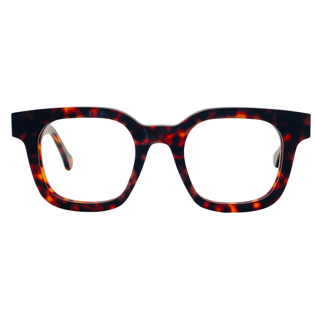 CELESTE EYEWEAR -FREDDY (451NC-HAVANA MAT)