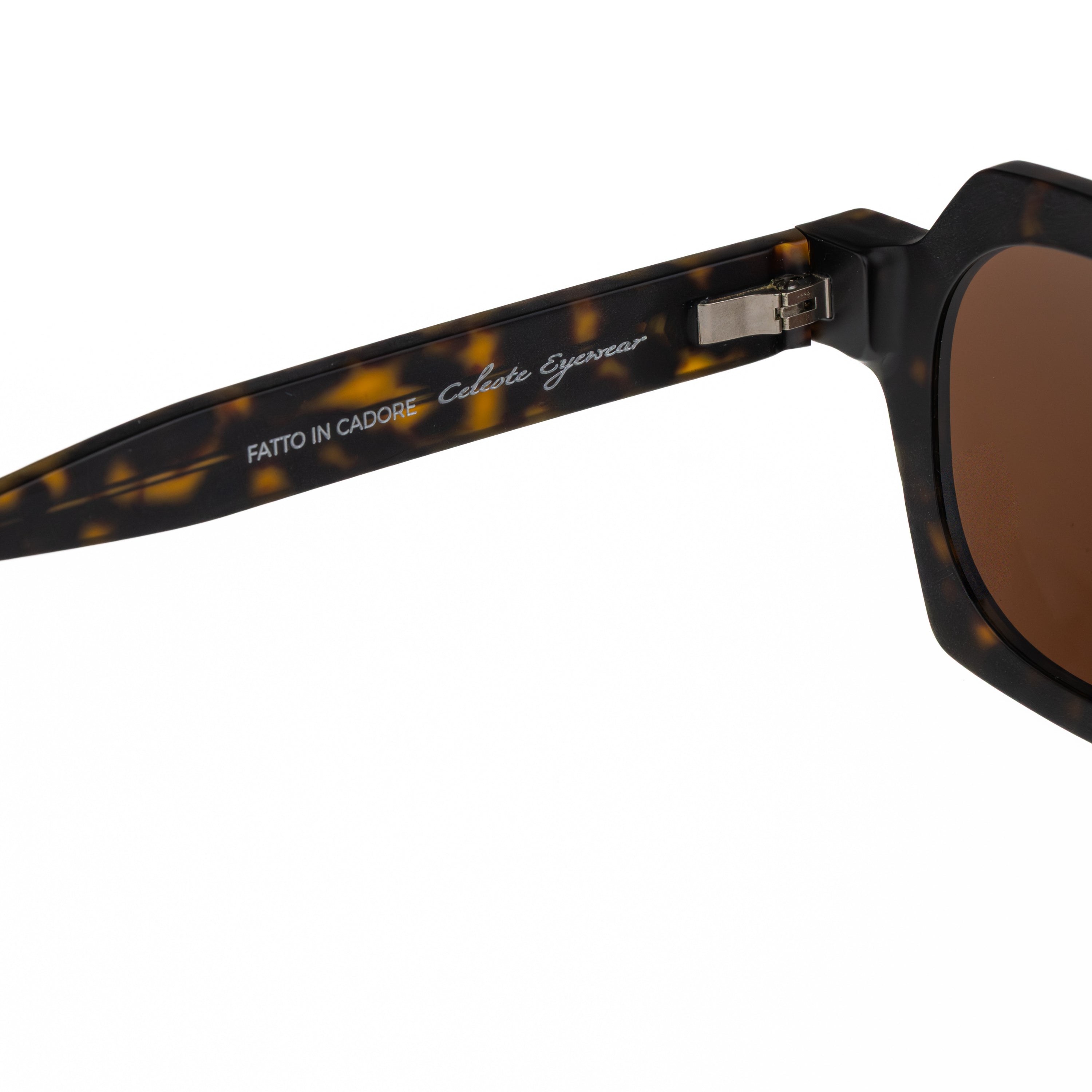 CELESTE EYEWEAR - TOMMASO (1156M-HAVANA)